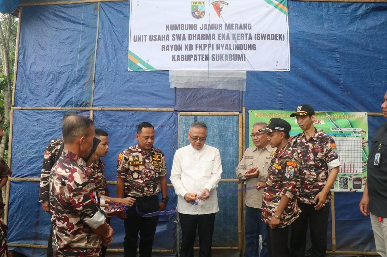 445242199 839942281500945 2238711603818947276 n