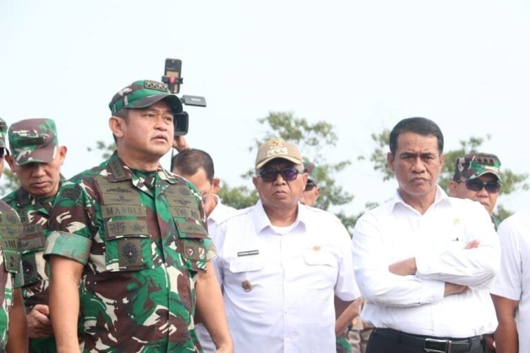 445493355 842300691265104 1413677460606741509 n