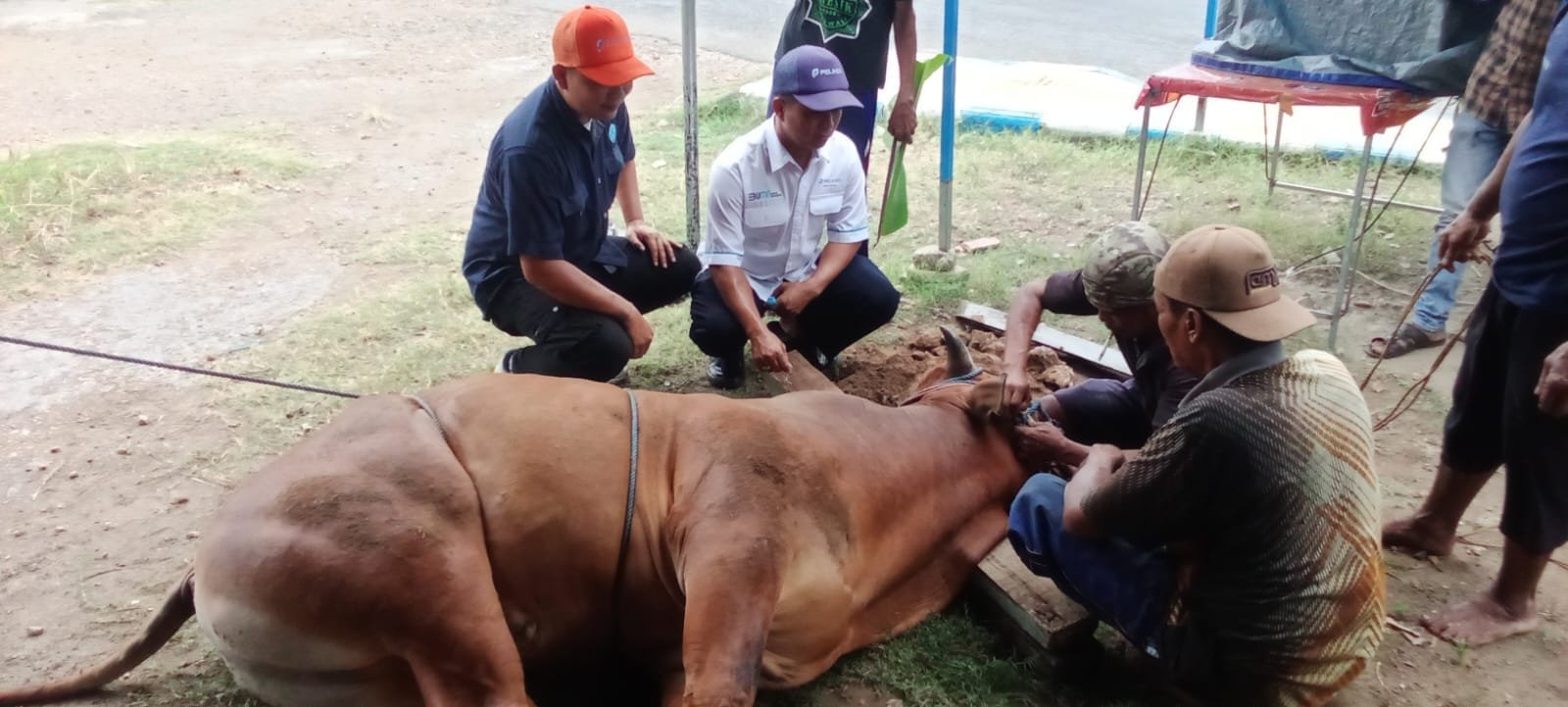 Momen Indah Idul Adha 1445 H PT. Pelindo Kalianget Menyembelih dua Ekor Sapi Kurban di Dua Tempat Untuk di Salurkan Pada Masyarakat 1 WhatsApp Image 2024 06 19 at 18.32.58