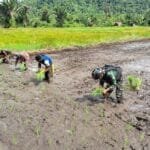 WhatsApp Image 2024 07 02 at 12.25.21