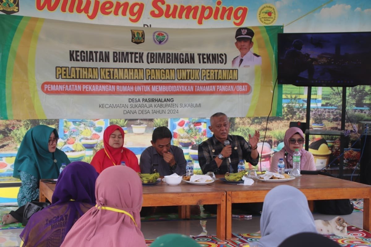 461254174 915114450650394 5420726866615160729 n