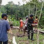 Satgas Yonif 310/KK Bantu Warga Merawat Kebun, Demi Tingkatkan Hasil Panen WhatsApp Image 2024 09 09 at 08.25.45