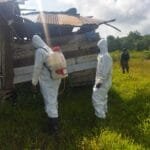 Penyemprotan Residu dan Berikan Pelayanan Kesehatan, Kiat Satgas Yonif 310/KK Cegah Malaria di Papua WhatsApp Image 2024 09 12 at 06.35.30