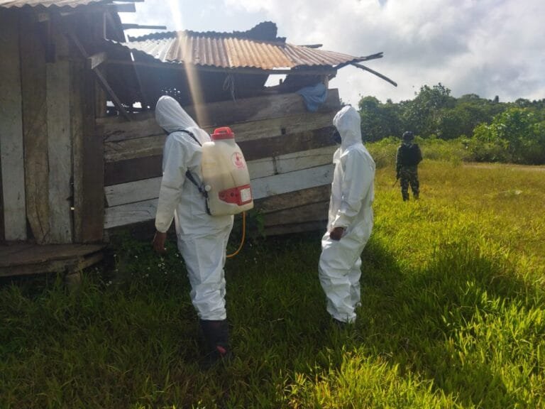 WhatsApp Image 2024 09 12 at 06.35.30