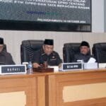 463341280 931977402297432 6249324816190933442 n