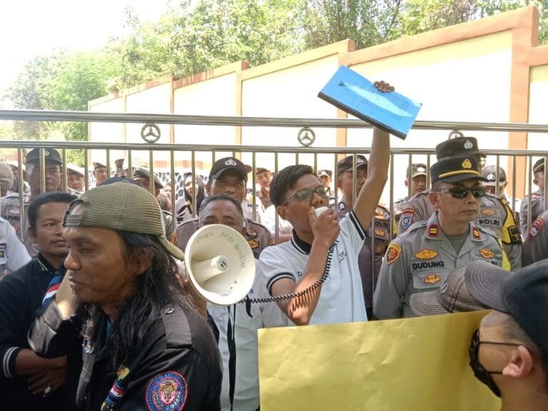 WhatsApp Image 2024 10 31 at 15.53.13