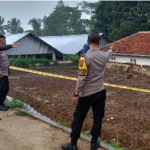 Screenshot 2024 11 14 151745