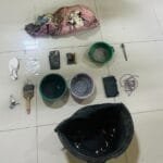 WhatsApp Image 2024 11 08 at 20.17.04