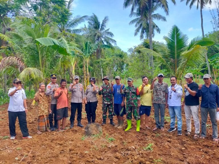 Polsek Masalembu Tanam Benih Jagung, Demi Mendukung Program Ketahanan Pangan Di Kecamatan Masalembu