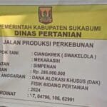 WhatsApp Image 2024 11 23 at 11.15.31