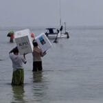 WhatsApp Image 2024 11 27 at 11.17.50