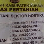 WhatsApp Image 2025 01 17 at 19.48.21 1