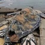 48034d64 3926 48ce 9fde 12de3dd87937