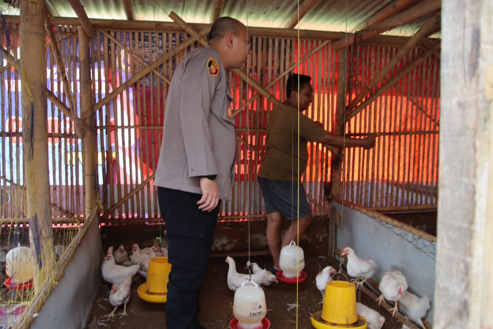 Dukung Ketahanan Pangan, Kapolres Sumenep AKBP Rivanda, S.I.K. Tinjau Peternakan Ayam di Desa Pabian 1 WhatsApp Image 2025 04 18 at 16.44.53 72f9bf86