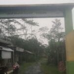 WhatsApp Image 2025 04 18 at 17.44.09 d6cd2f0d