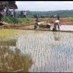 Kodim Boyolali Lakukan Tanam Padi Serentak untuk Tingkatkan Luas Tambah Tanam (LTT) WhatsApp Image 2025 04 25 at 13.20.17 032509cb