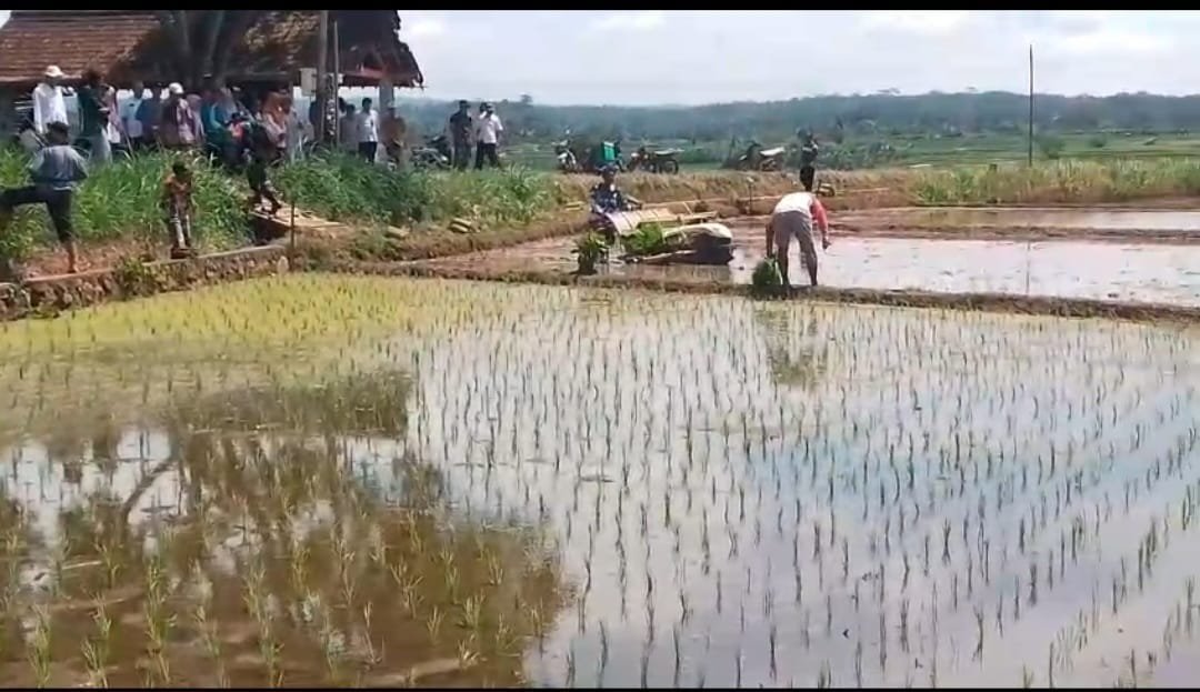 Kodim Boyolali Lakukan Tanam Padi Serentak untuk Tingkatkan Luas Tambah Tanam (LTT) 1 WhatsApp Image 2025 04 25 at 13.20.17 032509cb