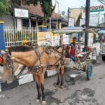 WhatsApp Image 2025 04 25 at 15.32.35 0e5a1028