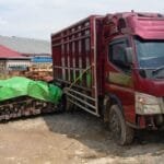 68188edc87ed3 polda kalbar amankan ribuan kayu belian atau kayu ulin siap