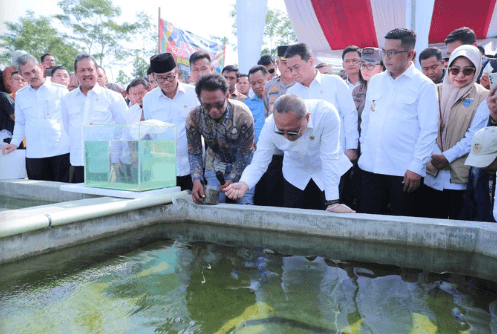 Screenshot 2025 05 10 005258