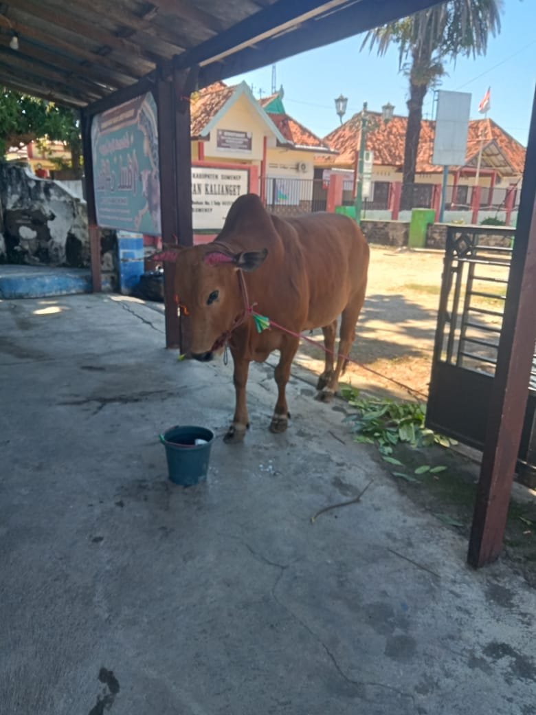 WhatsApp Image 2025 06 06 at 19.23.04 00b65c4f