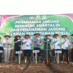 Dukung Swasembada Pangan Nasional, Polres Sukabumi Tanam Jagung Serentak di Lahan Perhutanan Simpenan IMG 20250710 WA0023 3186786051