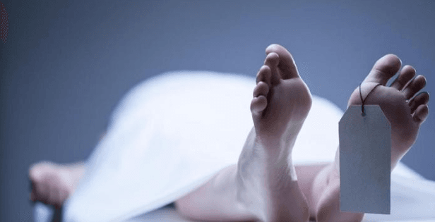 Screenshot 2025 07 04 105442