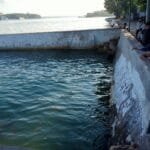 WhatsApp Image 2025 07 20 at 14.26.19 3f6af5db