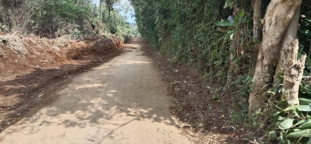 WhatsApp Image 2025 07 30 at 14.38.00 96ed7246