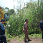 Screenshot 2025 10 01 191819