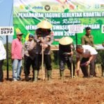 WhatsApp Image 2025 10 08 at 19.27.30 1