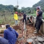 WhatsApp Image 2025 11 11 at 14.35.28 1