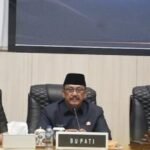 WhatsApp Image 2025 11 13 at 15.46.21 ac3f013f