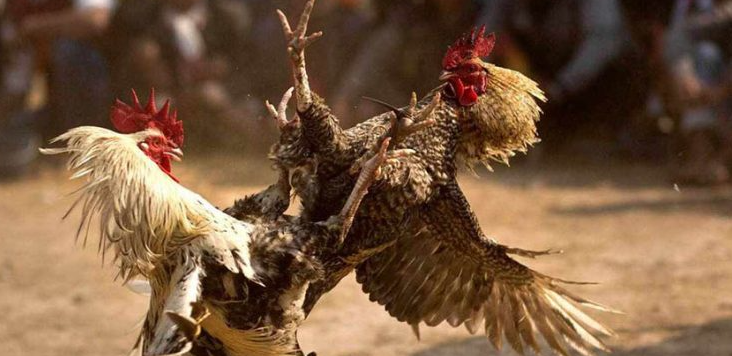 Screenshot 2025 12 02 182201