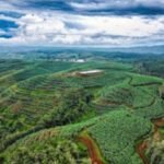 WhatsApp Image 2025 12 01 at 16.52.28