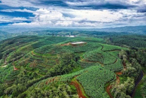 13 Kades Desak Pembaharuan HGU PTPN Sukamaju Komisi I DPRD Sukabumi Gelar Mediasi 6 WhatsApp Image 2025 12 01 at 16.52.28