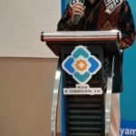 WhatsApp Image 2025 12 15 at 11.35.46 377f7583