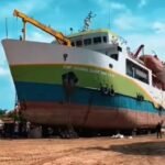 WhatsApp Image 2025 12 20 at 12.31.16 PM