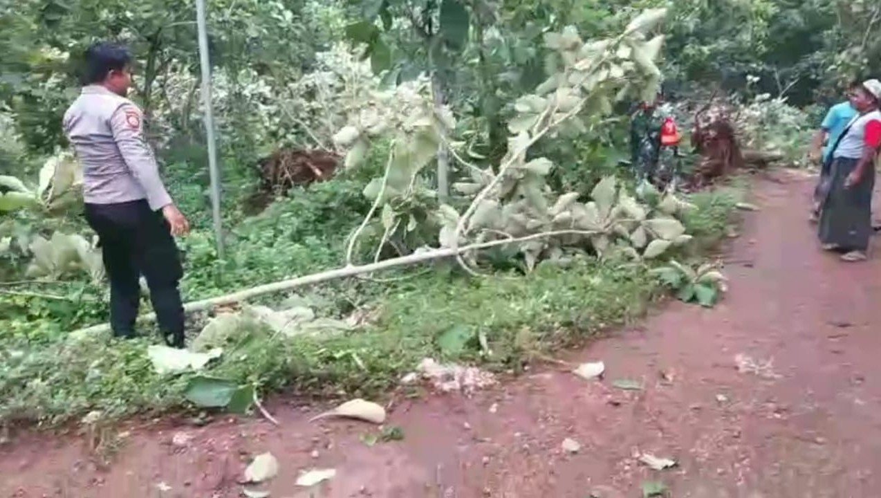 WhatsApp Image 2025 12 23 at 7.42.58 AM