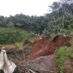 WhatsApp Image 2026 01 01 at 9.03.48 PM