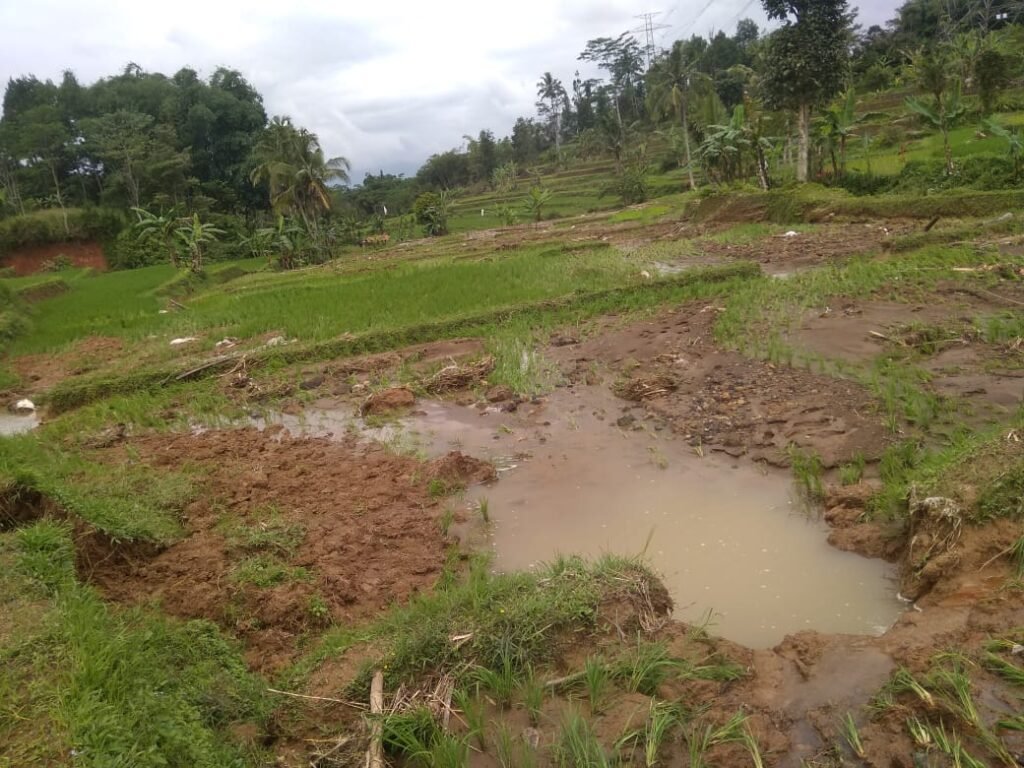 WhatsApp Image 2026 01 01 at 9.03.49 PM