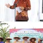 WhatsApp Image 2026 01 08 at 19.07.34