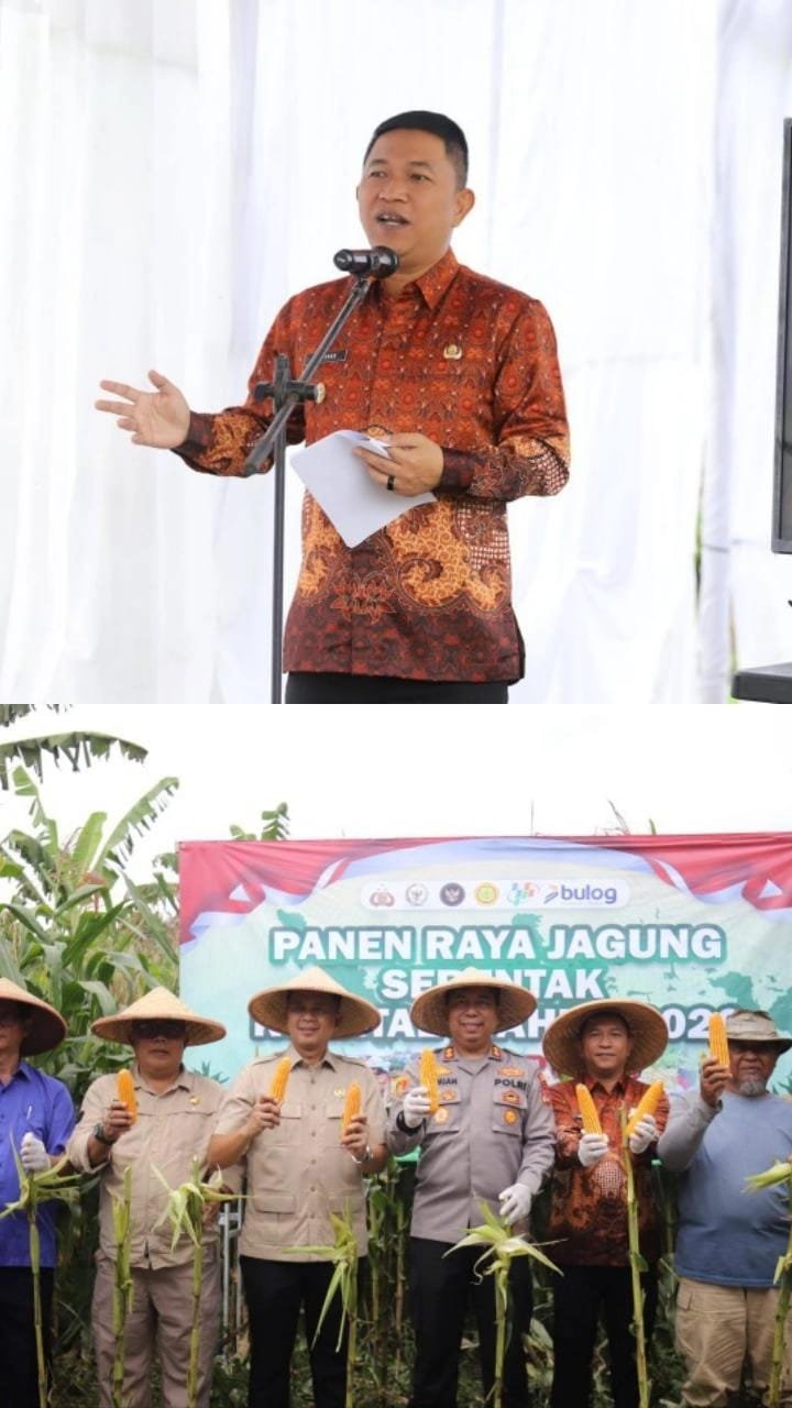 Panen Raya Jagung Serentak Kuartal I, Wabup Sukabumi Tegaskan Kolaborasi Kunci Kemandirian Pangan 2 WhatsApp Image 2026 01 08 at 19.07.34