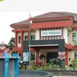 WhatsApp Image 2026 01 17 at 12.09.39