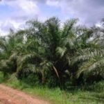 WhatsApp Image 2026 01 23 at 7.04.44 PM