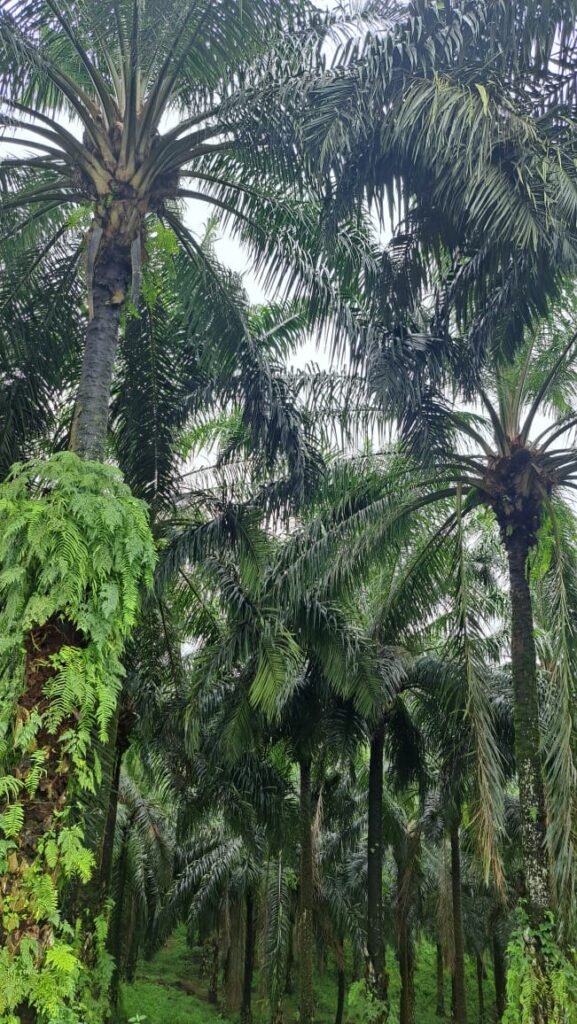 WhatsApp Image 2026 01 23 at 7.05.12 PM