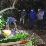 WhatsApp Image 2026 01 29 at 9.34.05 PM