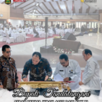 Screenshot 2026 02 12 113714