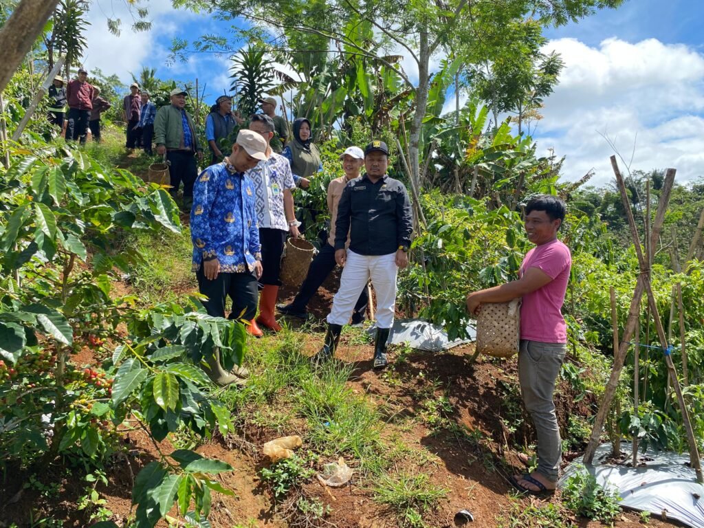 WhatsApp Image 2026 02 05 at 22.25.31