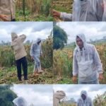 WhatsApp Image 2026 02 07 at 17.56.31 1